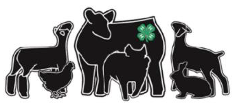 clipart of sheep, shicken, cow, pig, goat, and rabbit standing together